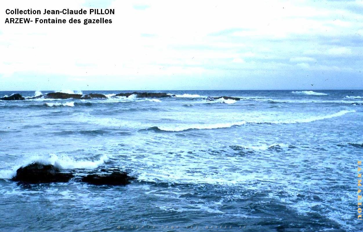 Arzew 183- Pillon.jpg